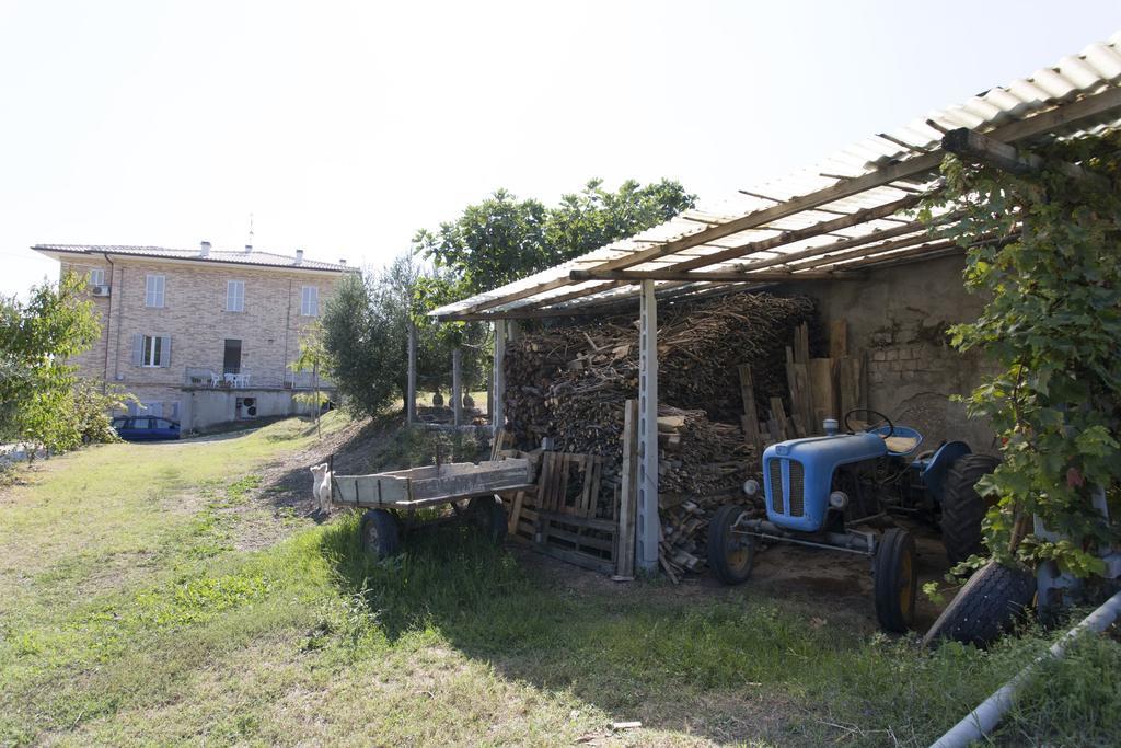 Da Zare Apartment Campofilone Luaran gambar